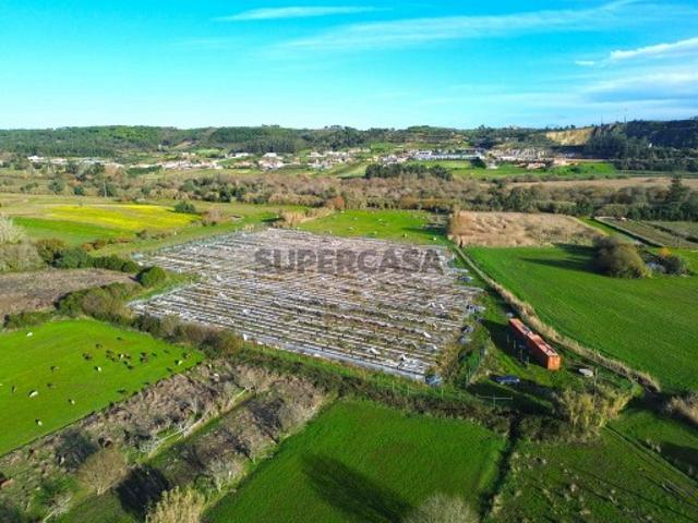 Quinta de 3,24ha A 5min. Montemor o Velho