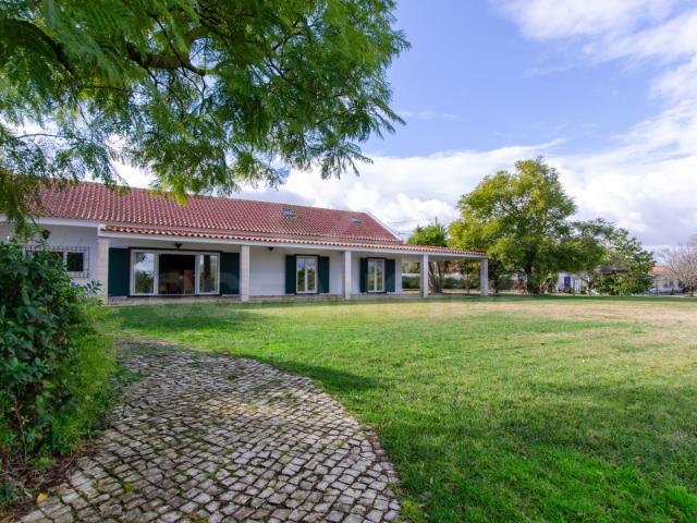 Quinta de 3 Hectares com 3 Moradias a 1h de Lisboa
