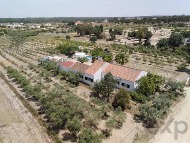 Quinta de 3 quartos com vinhedo, olival e 11.025m² de terren. 132m² Branca