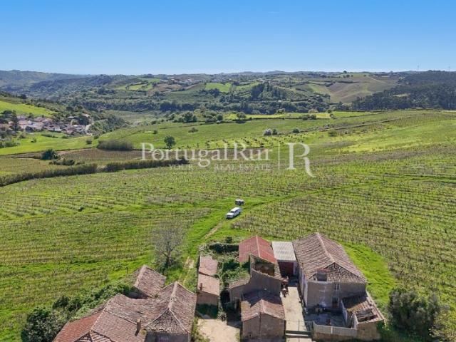 Quinta de 10,5 ha com vinha e construções em Alenquer