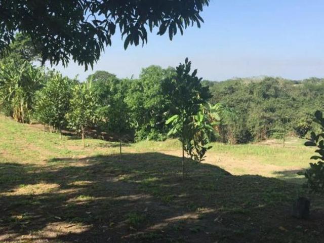 Quinta de 11000 m² con 2 recámaras en venta en Cotaxtla, Col. Mecayucan, Veracruz