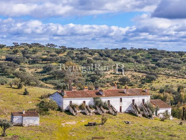 Quinta de 11 Hectares com aptidão para Hotel Rural 1238m² Alandroal nossa senhora da conceição, são brás dos matos