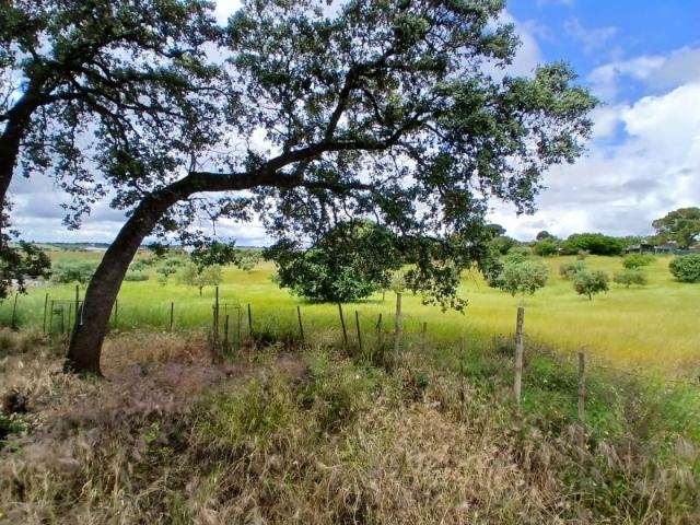 Quinta de 12.240 m2 c moradia, anexos e cisterna