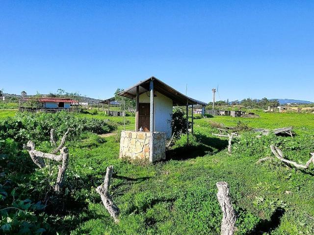 Quinta de 12 hectares para venda com muita água junto à N125 457m² Odiáxere