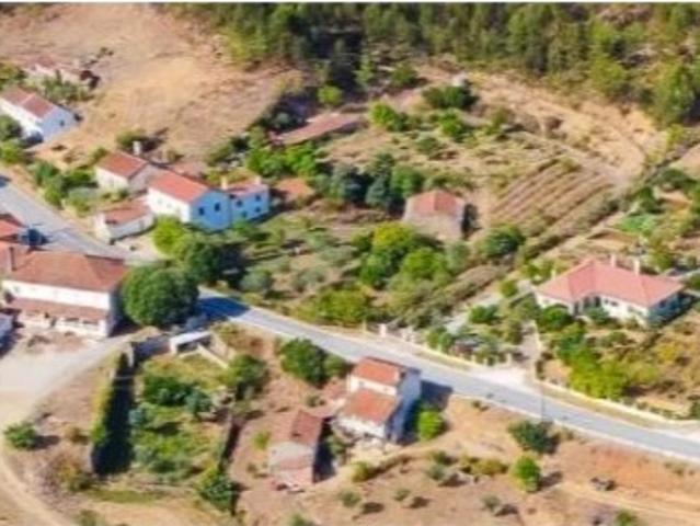 QUINTA DE 15 HECTARES COM MORADIA T9 E OLIVAL PRODUTIVO OPORTUNIDADE ÚNICA EM MAÇÃO