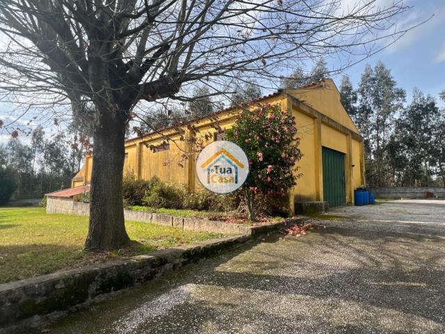 Quinta de 21.860m² Murada com 3 Entradas, Potencial para Moradia ou Loteamento, Próxima ao Rio Douro