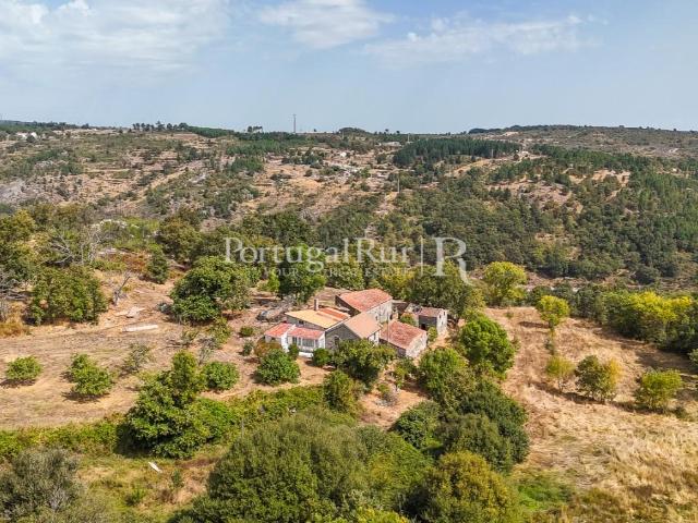 Quinta de 24ha com potencial para Turismo 91m² Guarda