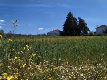 Quinta de 25 hectares Belmonte Castelo Branco 592m² Belmonte e Colmeal da Torre