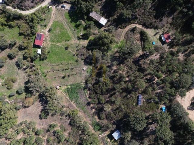 Quinta de 2.9 Hectares em Proença a velha