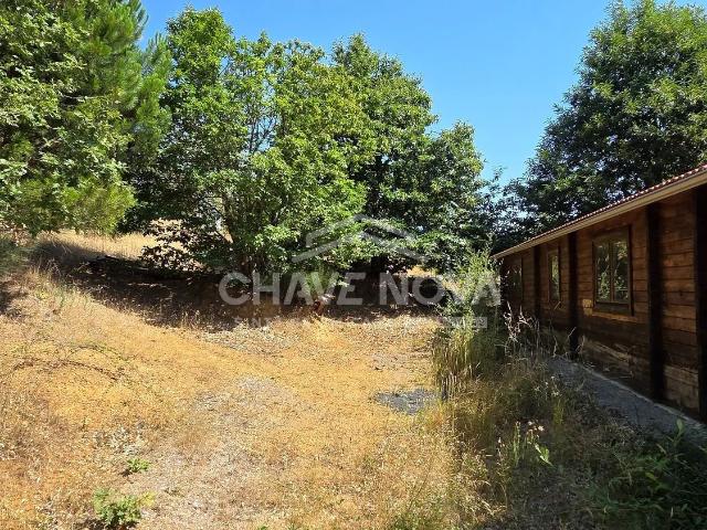Quinta de 2,15 ha c/ Casas T3 e T1 em Madeira e Plantações Vinhais