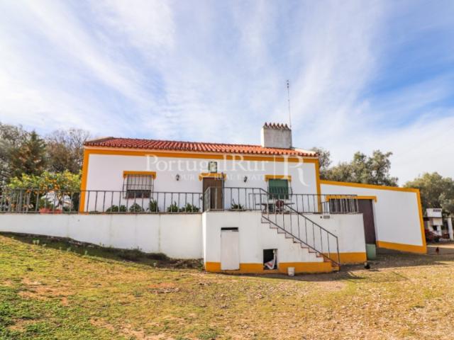 Quinta de 2 ha com moradia T3 em Vila Viçosa