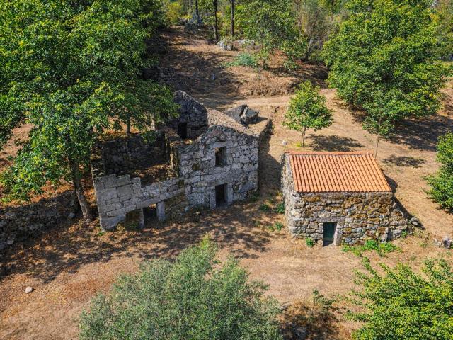 Quinta de 2ha com vista panorâmica Freigil 118m² Freigil e Miomães