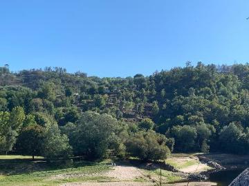 Pinheiro de Coja, Pinheiro de Coja e Meda de Mouros, Concelho de Tábua, Distrito de Coimbra