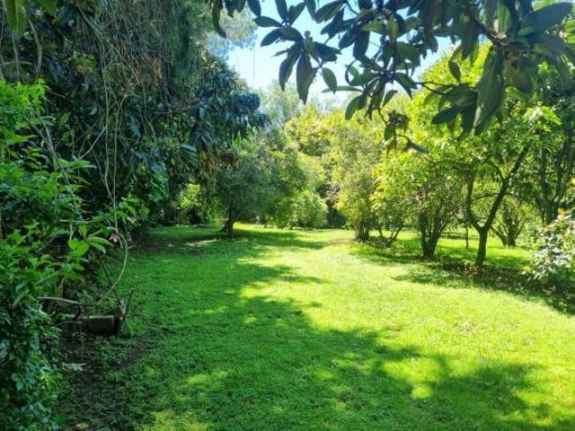 Quinta de 4715 m² con 6 recámaras en venta en Nepantla de Sor Juana Inés
