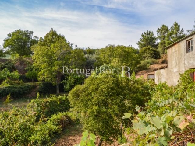 Quinta de 57ha com várias construções na zona da Covilhã