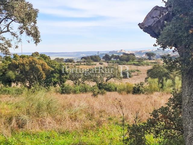 Quinta de 5,5 ha próximo de Terena, Alandroal