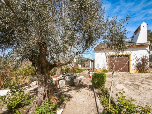 Quinta de 5.750 m² com Moradia T3 em Marvão