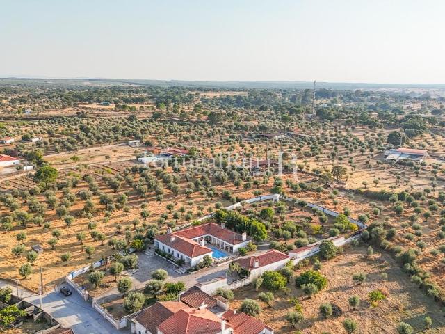 Quinta de 5.000m2 com moradia T6 Al 1310m² Alpalhão