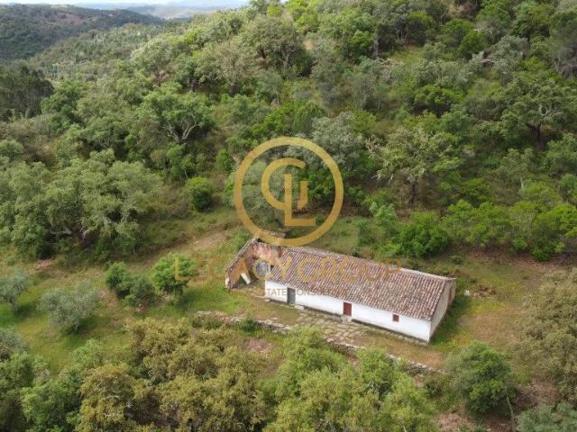 Quinta de 6 hectares perto de São Martinho das Amoreiras