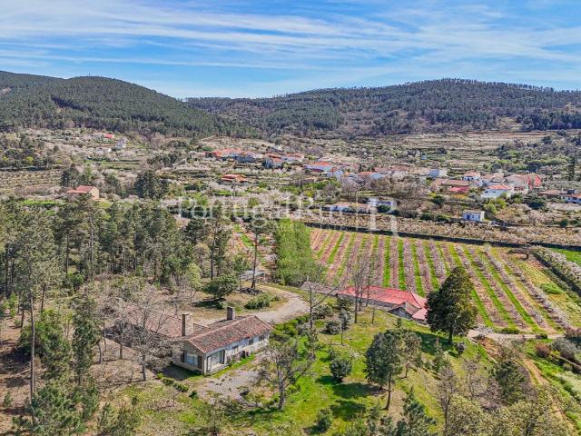 Quinta de 8 ha com 3 casas e cerejeiras no Fundão 420m² Fatela
