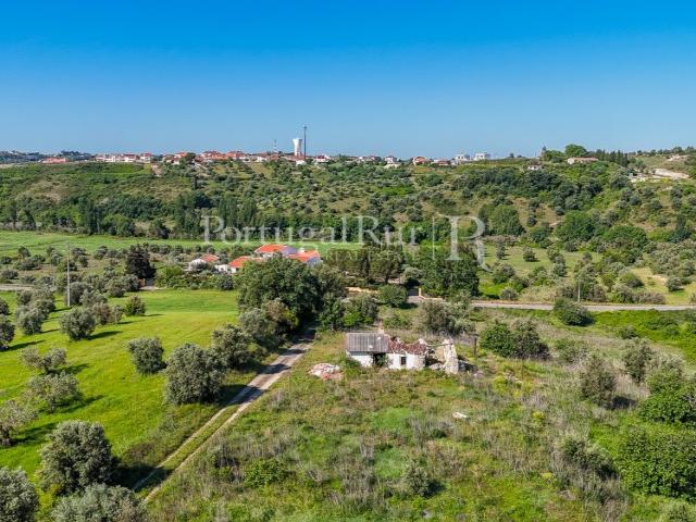 Quinta de 8 hectares com construção para recuperar, Torres N. 100m² Torres Novas São Pedro, Lapas e Ribeira Branca