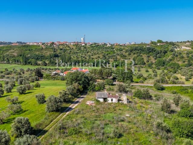 Quinta de 8 hectares com construção para recuperar, Torres Novas