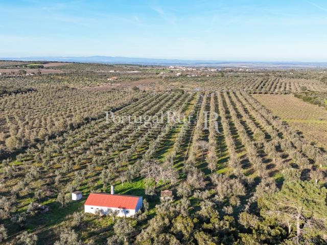 Quinta de 9,6 ha com ruína e vinha em Estremoz
