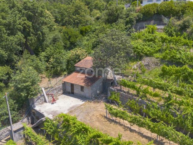 Quinta de Cortinhas | Vinha, Água e Potencial Turístico