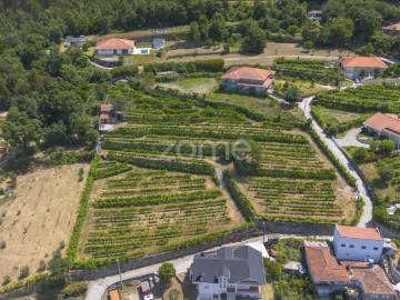 Quinta de Cortinhas | Vinha, Água e Potencial Turístico