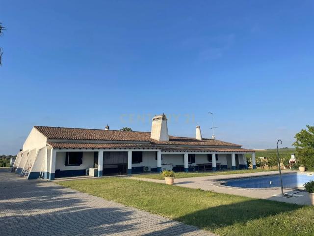 Quinta de Charme no Alentejo – 2,5 Hectares a 6 km de Reguengos de Monsaraz