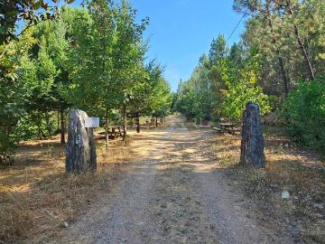 Quinta na Serra da Estrela Ribeira do Porsim Casegas Lazer Natureza e Investimento
