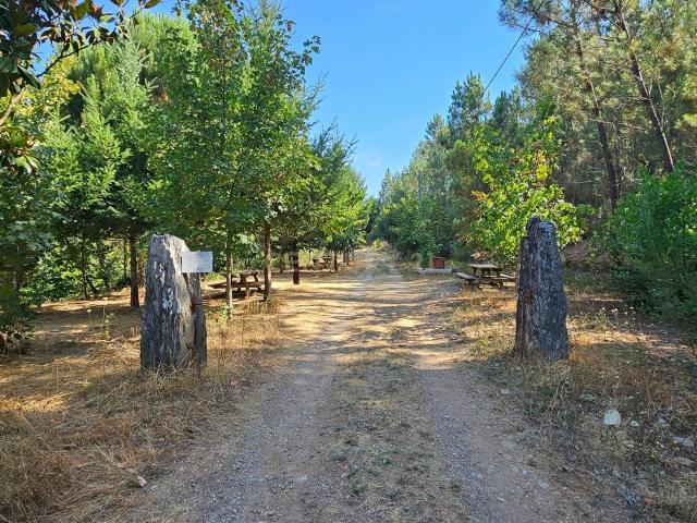Quinta na Serra da Estrela Ribeira do Porsim Casegas Lazer Natureza e Investimento