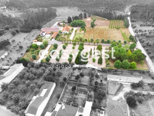 Quinta de eventos Inserida em zona urbana da cidade de Cantanhede