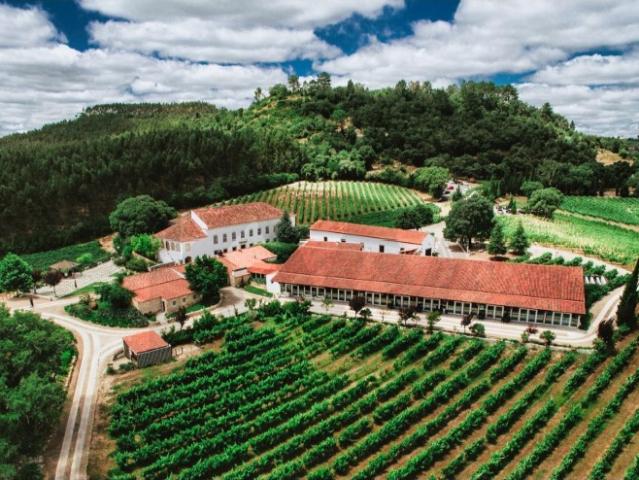 Quinta de Exceção em Ourém 69 Hectares | Casa Senhorial do Séc. XVIII | Vinha | Salão de Eventos