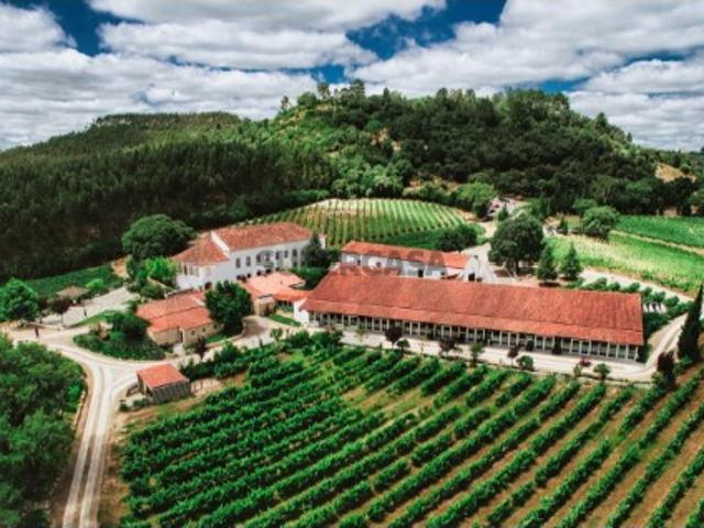 Quinta de Exceção em Ourém 69 Hectares | Casa Senhorial do Séc. XVIII | Vinha | Salão de Eventos