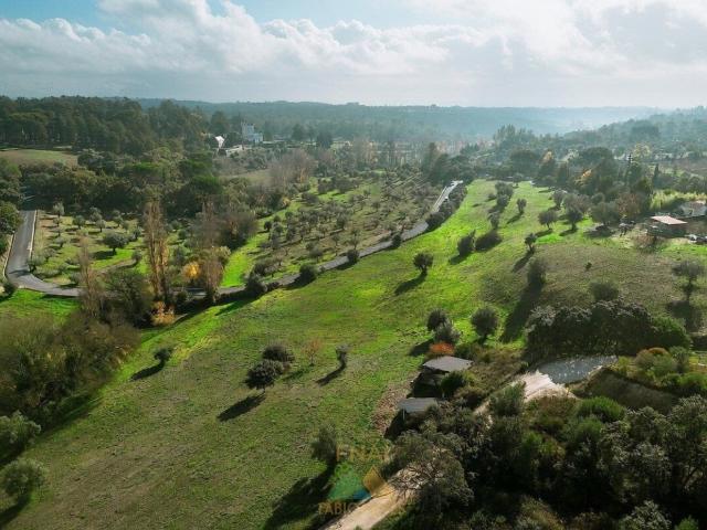Quinta De Investimento Premium Em Torres Novas m² Torres Novas Santa Maria, Salvador e Santiago