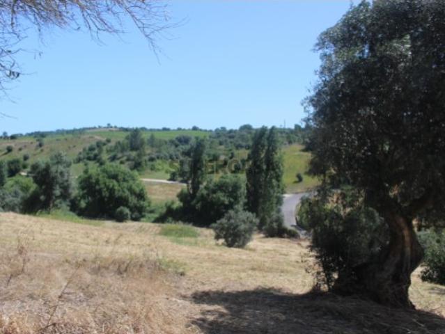 QUINTA DE INVESTIMENTO PREMIUM EM TORRES NOVAS