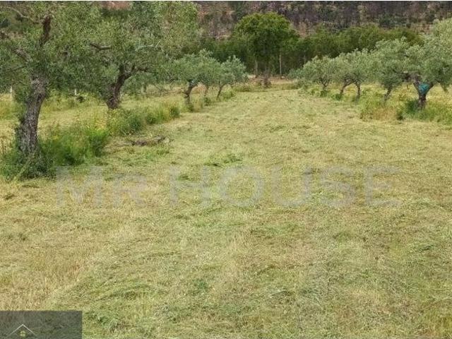 QUINTA DE OLES