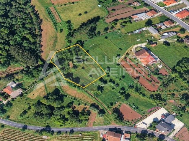 QUINTA DE ORONHE ÁGUEDA | 2.150 m²