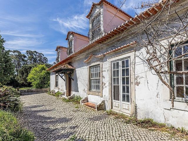 Quinta de luxo à venda em Tavarede, Figueira da Foz RE/MAX Portugal