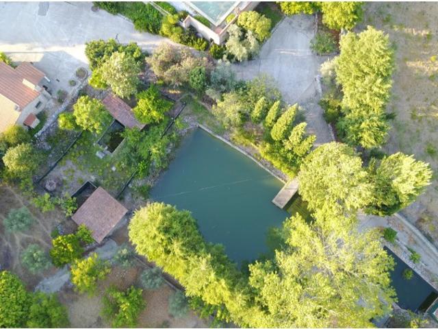 Quinta Rural a 60 Minutos de Lisboa: Moradia T4 com Piscina, Anexos e Terreno