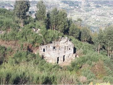 Quinta de Seide Um Refúgio Único no Vale do Douro com 10,6 Hectares