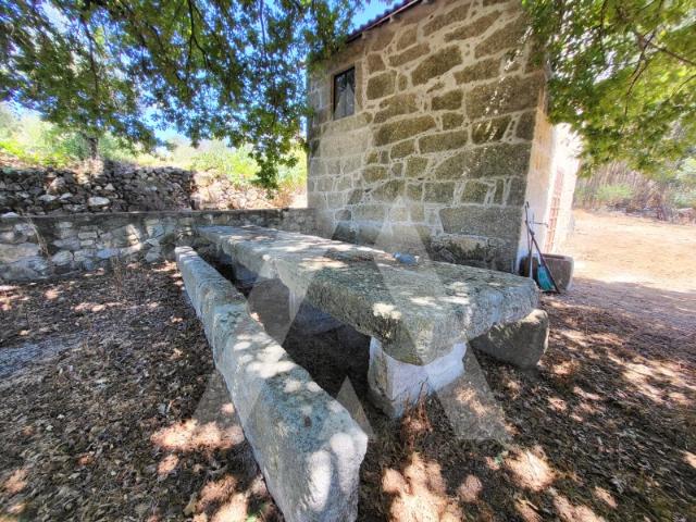 Quinta de produção agrícola e florestal