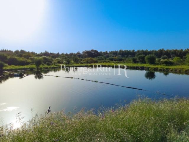 Quinta de produção biológica com 5 ha em São Vicente da Beira