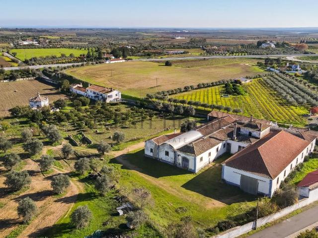 Quinta de renome em plena Vidigueira 2500m² Vidigueira