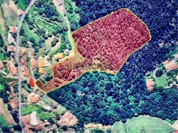 Quinta e Herdade Povoa de Lanhoso Aceita se propostas