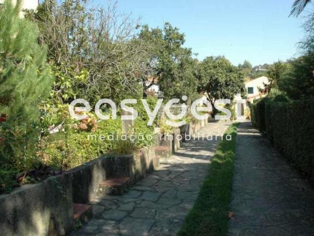 Quinta em Colares T4 com vista desafogada em 7640m2