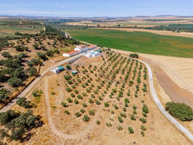 Quinta em Campo Maior, para investimento em turismo rural. 1000m² Nossa Senhora Da Expectação