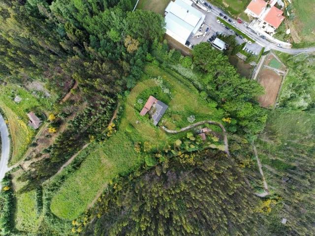 Moradia T3, inserida numa quinta com 53.393m2 de terreno V. da Feira