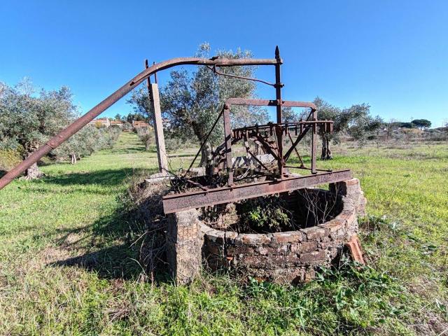 Quinta em Casal Capela, Madalena, Tomar